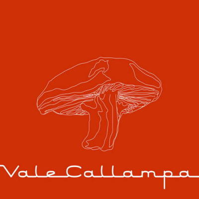 Vale Callampa